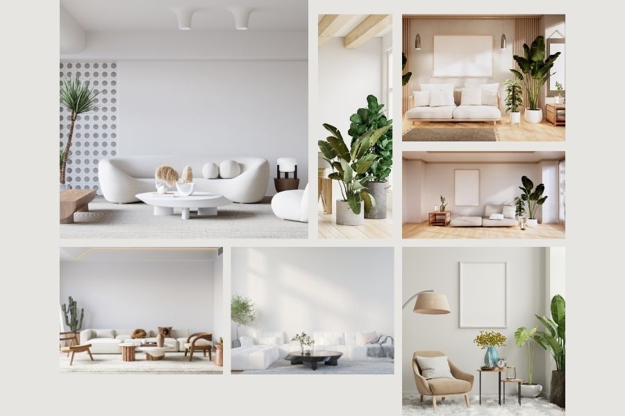 c&acirc;y xanh trong ph&ograve;ng kh&aacute;ch spa, c&acirc;y xanh trong ph&ograve;ng kh&aacute;ch 