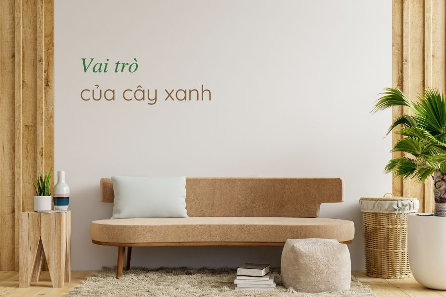 c&acirc;y xanh trong ph&ograve;ng kh&aacute;ch spa, c&acirc;y xanh trong ph&ograve;ng kh&aacute;ch 