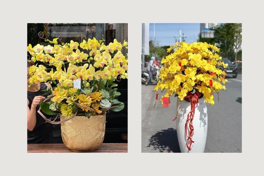 c&acirc;y xanh trong ph&ograve;ng kh&aacute;ch spa, c&acirc;y xanh trong ph&ograve;ng kh&aacute;ch 