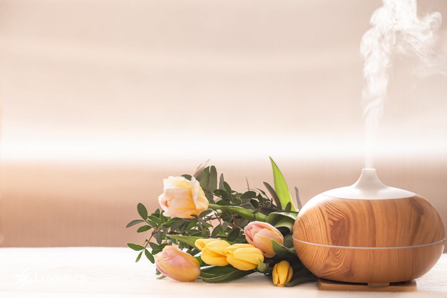 hiết kế spa tại nh&agrave;, cải tạo nh&agrave; ở th&agrave;nh spa, setup spa 