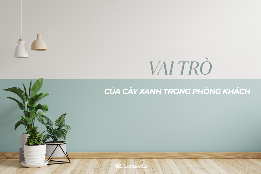 cây xanh trong phòng khách spa, cây xanh trong phòng khách 
