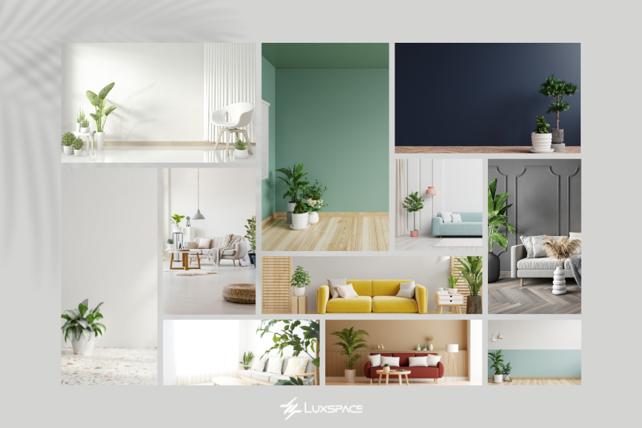 cây xanh trong phòng khách spa, cây xanh trong phòng khách 